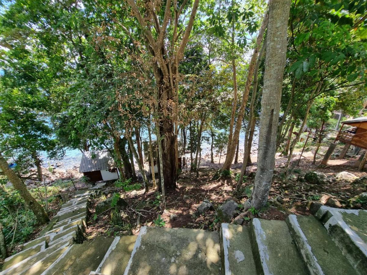 Treetop Guesthouse And Bungalows ซาบัง ภายนอก รูปภาพ