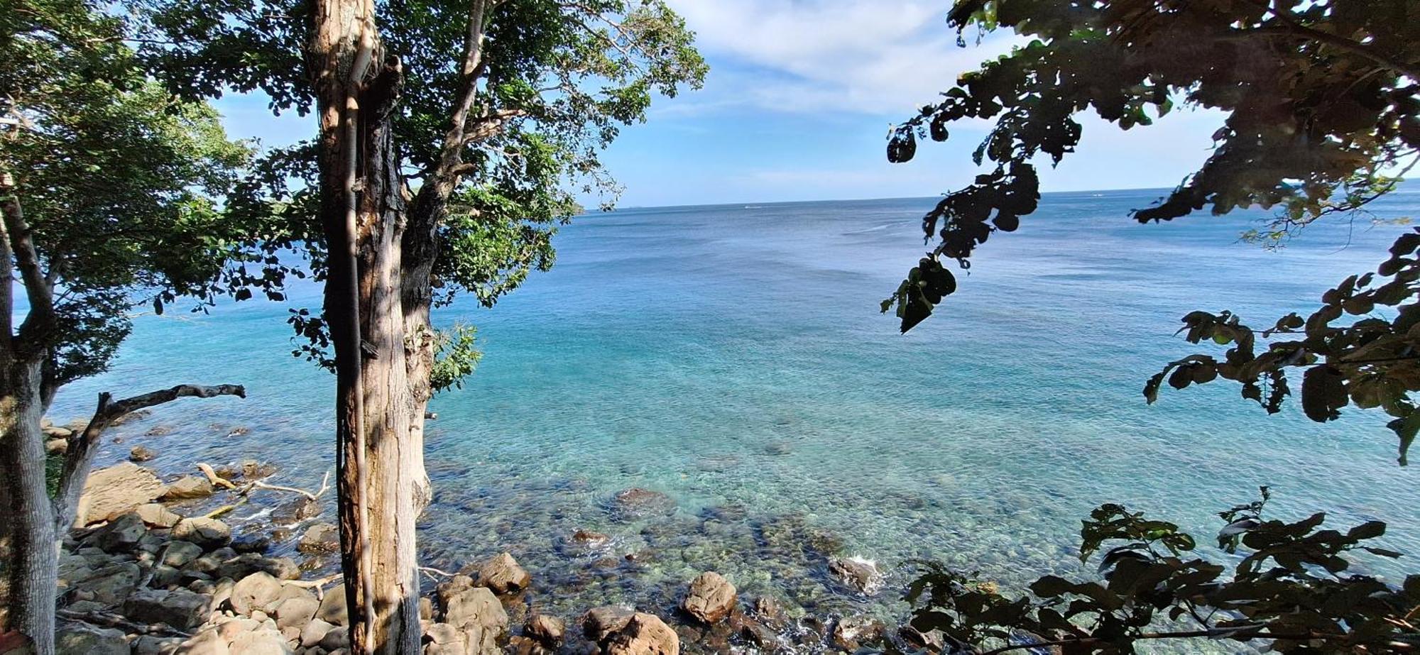 Treetop Guesthouse And Bungalows ซาบัง ภายนอก รูปภาพ