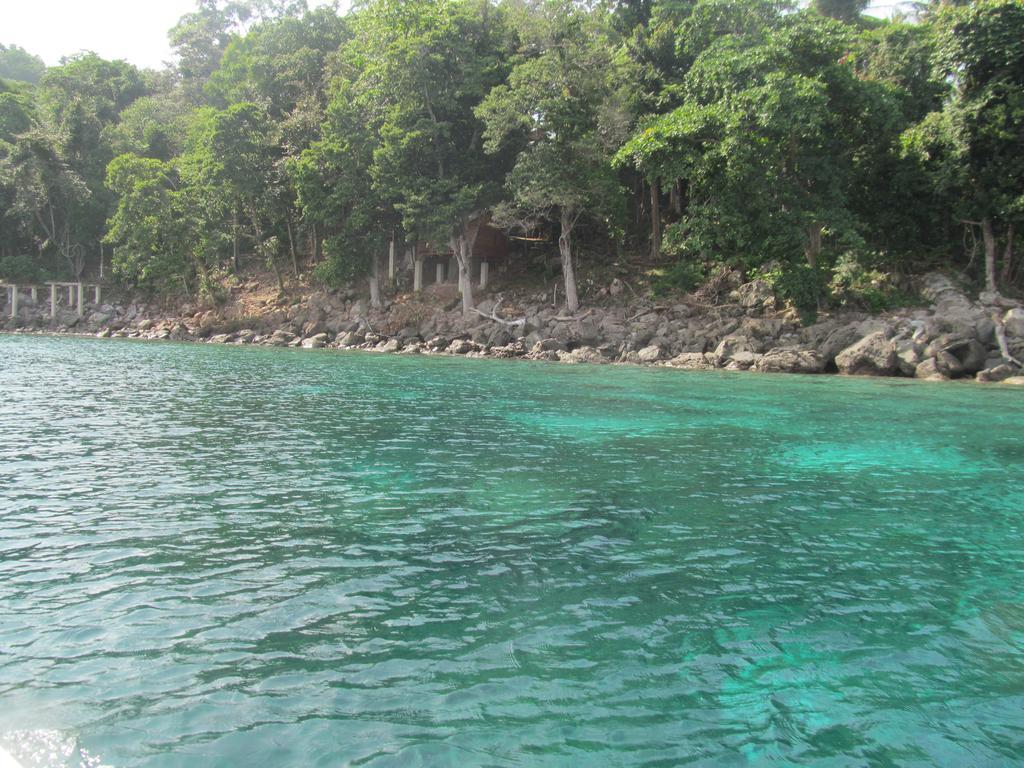 Treetop Guesthouse And Bungalows ซาบัง ภายนอก รูปภาพ