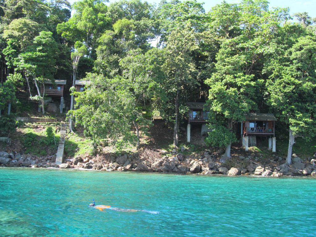 Treetop Guesthouse And Bungalows ซาบัง ภายนอก รูปภาพ